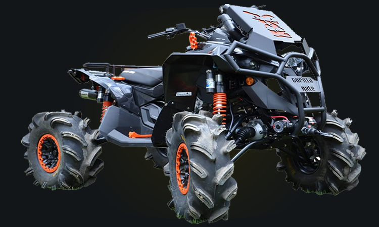Dune Buggy